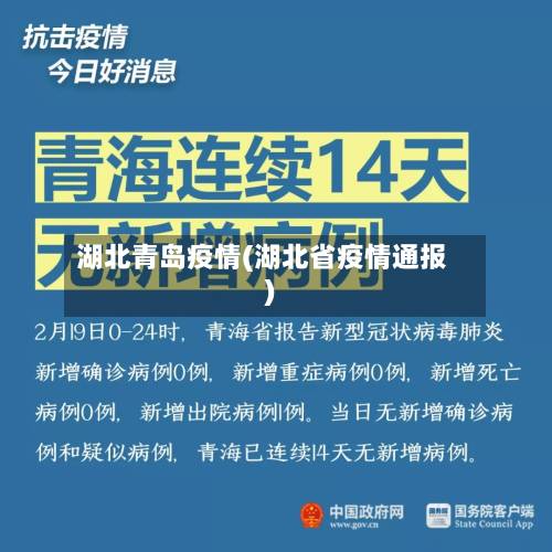 湖北青岛疫情(湖北省疫情通报)-第3张图片