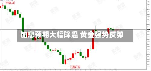 加息预期大幅降温 黄金强势反弹-第3张图片