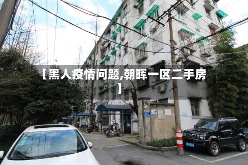 【黑人疫情问题,朝晖一区二手房】-第3张图片
