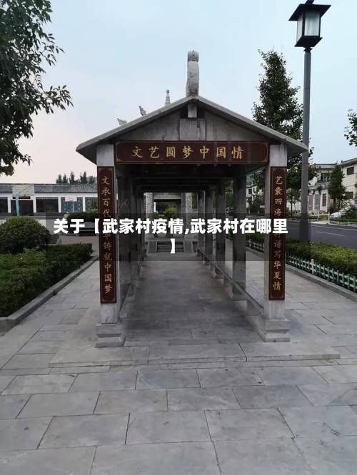 关于【武家村疫情,武家村在哪里】