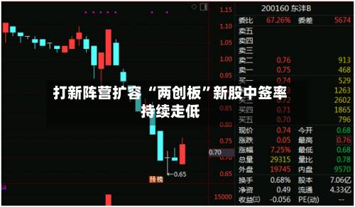 打新阵营扩容 “两创板”新股中签率持续走低-第2张图片