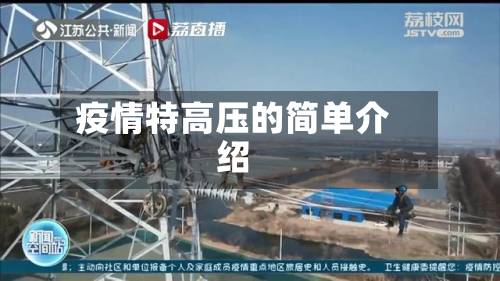 疫情特高压的简单介绍
