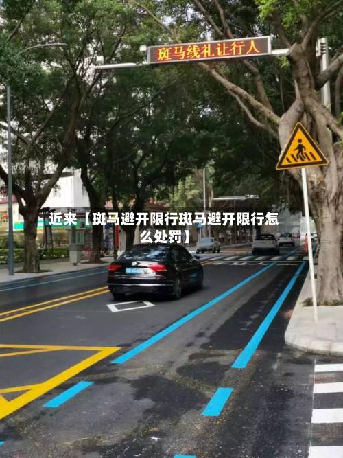 近来【斑马避开限行斑马避开限行怎么处罚】