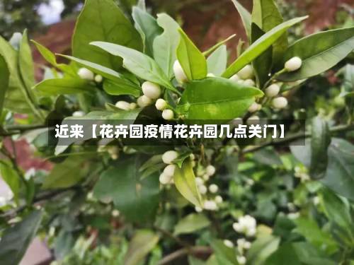 近来【花卉园疫情花卉园几点关门】-第2张图片