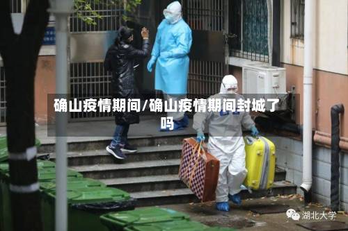确山疫情期间/确山疫情期间封城了吗-第2张图片