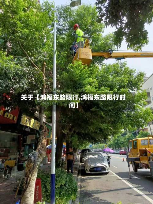 关于【鸿福东路限行,鸿福东路限行时间】