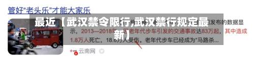 最近【武汉禁令限行,武汉禁行规定最新】-第2张图片
