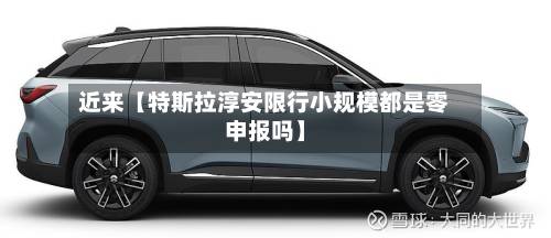近来【特斯拉淳安限行小规模都是零申报吗】