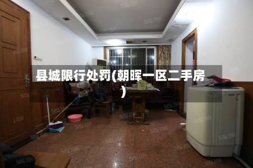 县城限行处罚(朝晖一区二手房)