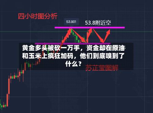 黄金多头被砍一万手	，资金却在原油和玉米上疯狂加码，他们到底嗅到了什么？-第3张图片