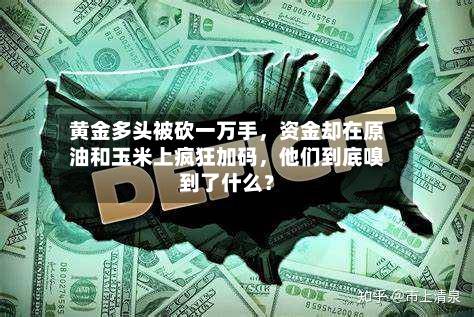黄金多头被砍一万手，资金却在原油和玉米上疯狂加码，他们到底嗅到了什么？-第2张图片