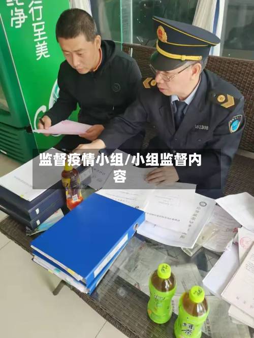 监督疫情小组/小组监督内容-第3张图片