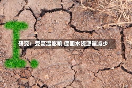 研究：受高温影响 德国水资源量减少
