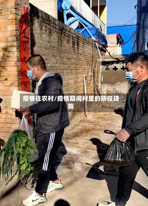 疫情往农村/疫情期间村里的防控措施