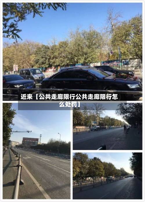 近来【公共走廊限行公共走廊限行怎么处罚】-第1张图片