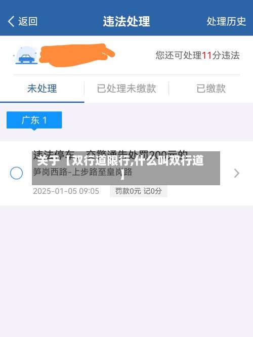 关于【双行道限行,什么叫双行道】