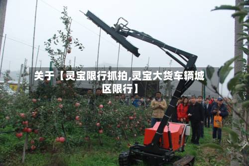 关于【灵宝限行抓拍,灵宝大货车辆城区限行】