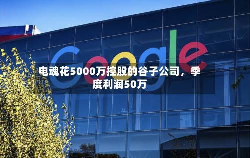 电魂花5000万控股的谷子公司	，季度利润50万-第2张图片