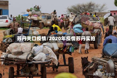 苏丹关口疫情/2020年疫情苏丹实拍