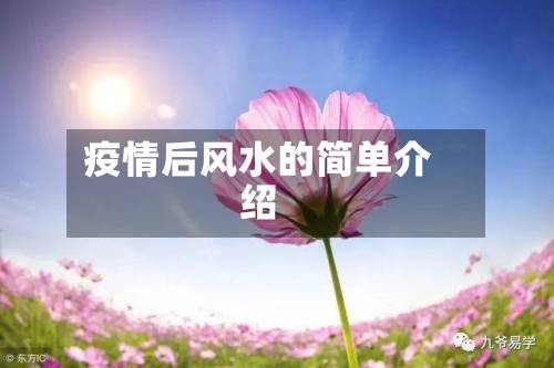 疫情后风水的简单介绍-第3张图片