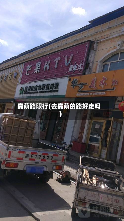 嘉荫路限行(去嘉荫的路好走吗)