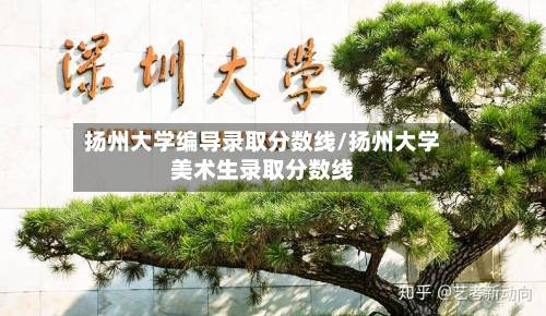 扬州大学编导录取分数线/扬州大学美术生录取分数线-第2张图片
