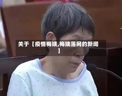 关于【疫情梅姨,梅姨落网的新闻】-第3张图片