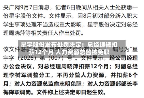 星宇股份发布处罚决定:总经理被扣薪12个月 人力资源总监被免职-第2张图片