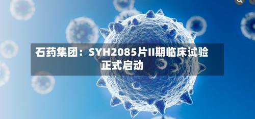 石药集团:SYH2085片II期临床试验正式启动-第2张图片