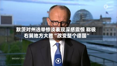 默茨对州选举惨淡表现深感震惊 称极右翼地方大胜“改变整个德国”-第2张图片