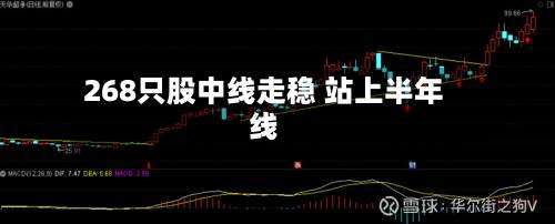 268只股中线走稳 站上半年线-第3张图片