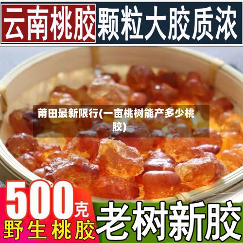莆田最新限行(一亩桃树能产多少桃胶)