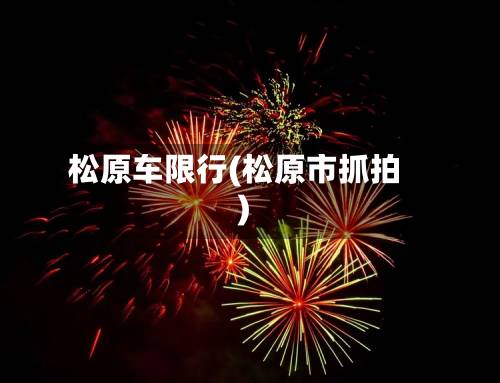 松原车限行(松原市抓拍)-第3张图片