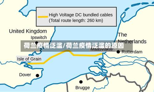 荷兰疫情泛滥/荷兰疫情泛滥的原因