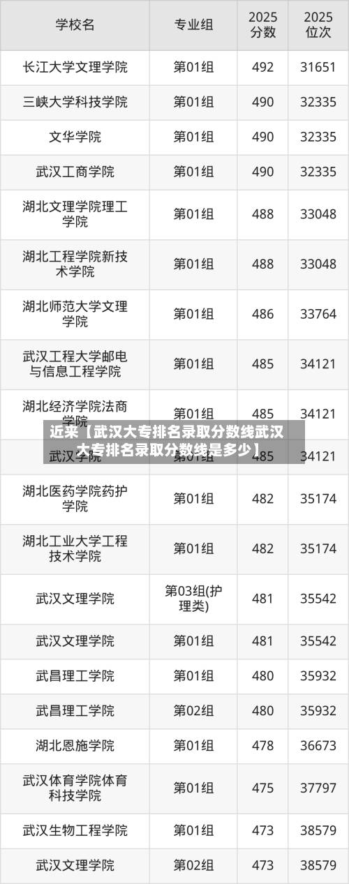 近来【武汉大专排名录取分数线武汉大专排名录取分数线是多少】-第1张图片