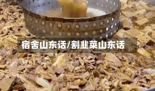 宿舍山东话/割韭菜山东话