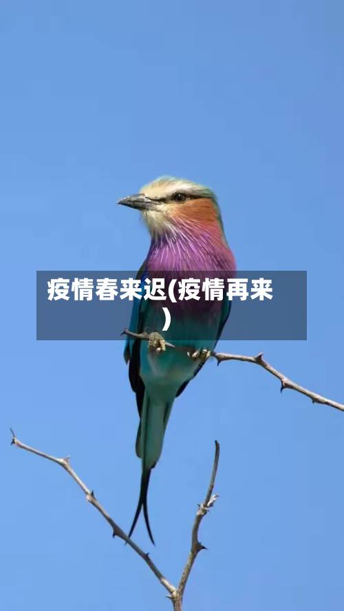 疫情春来迟(疫情再来)-第1张图片