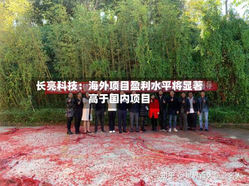 长亮科技:海外项目盈利水平将显著高于国内项目-第3张图片