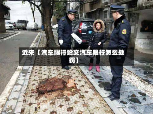 近来【汽车限行论文汽车限行怎么处罚】