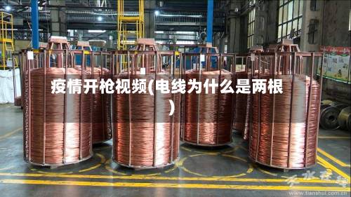 疫情开枪视频(电线为什么是两根)-第1张图片