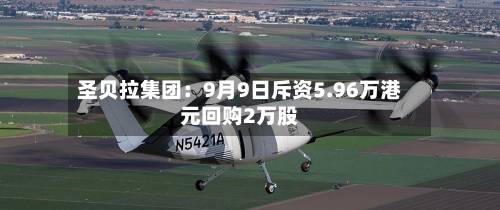 圣贝拉集团:9月9日斥资5.96万港元回购2万股-第3张图片