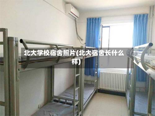 北大学校宿舍照片(北大宿舍长什么样)-第2张图片
