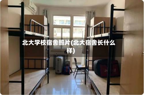 北大学校宿舍照片(北大宿舍长什么样)