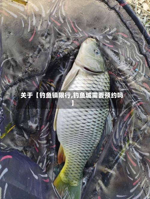 关于【钓鱼镇限行,钓鱼城需要预约吗】