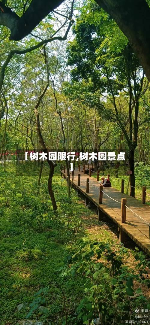 【树木园限行,树木园景点】-第3张图片
