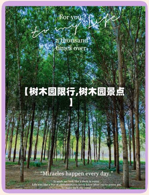 【树木园限行,树木园景点】