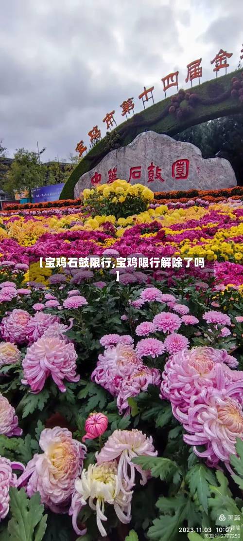 【宝鸡石鼓限行,宝鸡限行解除了吗】-第3张图片