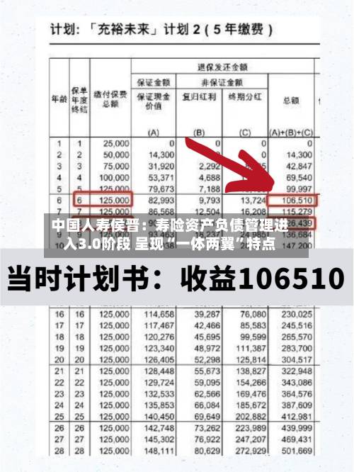 中国人寿侯晋：寿险资产负债管理进入3.0阶段 呈现“一体两翼	”特点-第2张图片