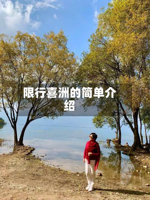 限行喜洲的简单介绍