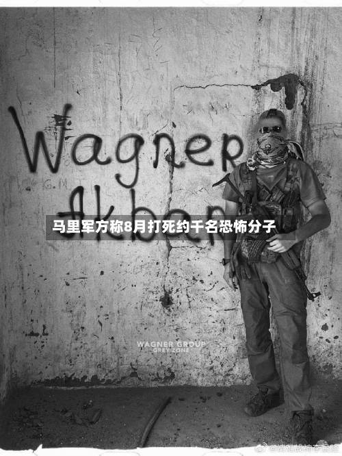 马里军方称8月打死约千名恐怖分子
